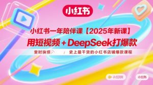 小红书一年陪伴课【2025年新课】，用短视频+deepSeek打爆款，史上最干货的小红书店铺爆款课程-柯南聊项目