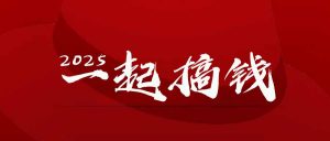 2025年,请“不择手段”去搞钱!-柯南聊项目