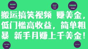 搬运搞笑视频挣美金，低门槛高收益，简单粗暴新手月入上千美刀-柯南聊项目