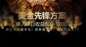 免费技术！小众赛道！一年布局抵三年努力，每日800+-柯南聊项目