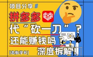【2025最新】拼多多代坎助力项目深度拆解：还能挣钱吗?全流程玩法-柯南聊项目