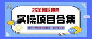 （14767期）2025年实操六大项目实操演练，挂机类型，AI直播类型，轻资产创业类型，…-柯南聊项目
