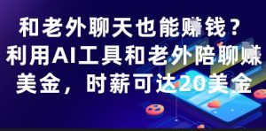 和老外聊天也能挣钱？利用AI工具和老外陪聊挣美金，时薪可达20刀-柯南聊项目