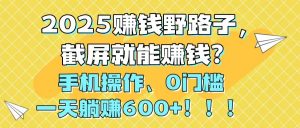 2025赚钱野路子，截屏就能赚钱？手机操作0门槛，一天躺赚600+！！！-柯南聊项目