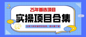 2025年实操六大项目实操演练，挂机类型，AI直播类型，轻资产创业类型，…-柯南聊项目