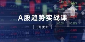 A股趋势实战课：主力动向+政策红利，2025全年策略5月更新-柯南聊项目