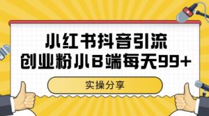 小红书抖音创业粉，小B端粉自热，日引99+的一个玩法【揭秘】-柯南聊项目