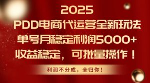 2025PDD电商代运营全新玩法，单号月稳定利润5000+，收益稳定，可批量操作-柯南聊项目