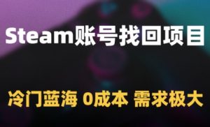 Steam账号找回项目，冷门蓝海，0成本，需求极大-柯南聊项目