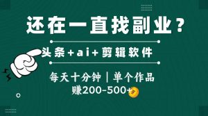 头条全新玩发加持软件搬视频，每天十分钟，单个作品收入200-500左右-柯南聊项目