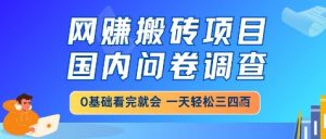 网创搬砖项目，国内问卷调查，小白轻松上手，一天三四张的也不难，干就完了【揭秘】-柯南聊项目