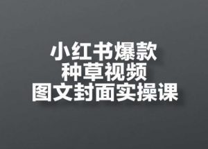 小红书爆款种草视频图文封面实操课,开店、选品、引流、变现全流程-柯南聊项目