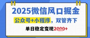2025微信风口掘金，公众号+小程序双管齐下，单日稳定变现1k+【揭秘】-柯南聊项目