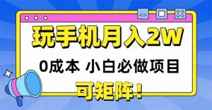 玩玩手机月入20000+，0成本小白必做项目，可矩阵-柯南聊项目