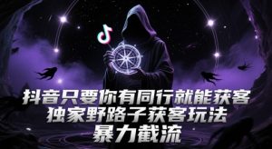 抖音只要你有同行就能获客，独家野路子获客玩法，暴力截流【揭秘】-柯南聊项目