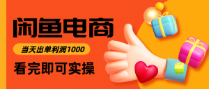 闲鱼高利润电商，入门到出单只需3小时，每天利润1000-柯南聊项目