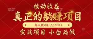 全网首发设计项目，真正实现躺赚，并且每月收益逐月增加，自己做老板-柯南聊项目