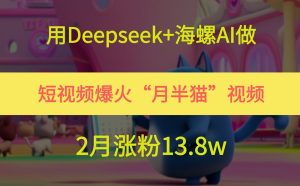 用Deepseek+海螺AI做短视频爆火“月半猫”视频，2月涨粉13.8w-柯南聊项目