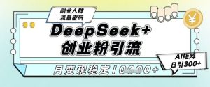 DeepSeek+创业粉精准引流,全新分享课4.0玩法,AI矩阵日引300+,多种变现方式,稳定月入1W-柯南聊项目