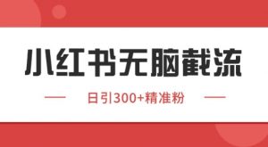 小红书截流同行客源，独家野路子获客玩法 日引200+暴力获客【揭秘】-柯南聊项目