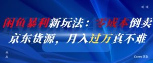 闲鱼暴利新玩法：零成本倒卖京东货源，月入过1W真不难-柯南聊项目