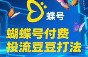 2025蝴蝶号付费投流豆豆打法，助新手快速掌握付费流量撬动自然流的核心玩法-柯南聊项目