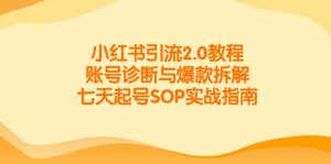 小红书引流2.0教程，账号诊断与爆款拆解，七天起号SOP实战指南-柯南聊项目