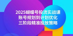 2025蝴蝶号投流实战课，账号规划到计划优化，三阶段精准投放策略-柯南聊项目
