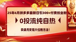 25年6月拼多多最新日引300+付费创业粉，0投流纯自热 卖课月变现六位数方法-柯南聊项目