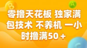 零撸天花板，独家满包技术 不养机 一小时撸满50+【揭秘】-柯南聊项目