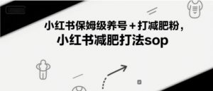 小红书保姆级养号+打减肥粉，小红书减肥打法sop-柯南聊项目