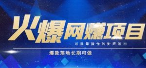 火爆全自动搬砖项目,可批量矩阵操作,爆款落地长期可做【揭秘】-柯南聊项目