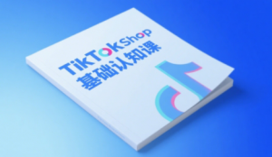 梨子姐姐·TikTok小店基础认知课-柯南聊项目
