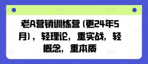 老A营销训练营(更25年6月)，轻理论，重实战，轻概念，重本质-柯南聊项目