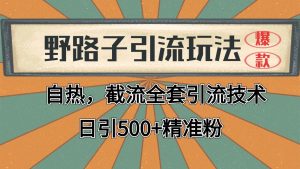 2024首发野路子引流玩法截流自热全平台打法，全自动引流【日引2000+精准客户】-柯南聊项目