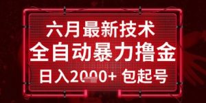 六月最新技术全自动暴力撸金，稳定日入2k+包起号，长期稳定【揭秘】-柯南聊项目