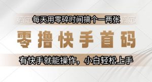 零撸快手首码，每天用零碎时间搞个一两张，有快手就能操作小白轻松上手【揭秘】-柯南聊项目
