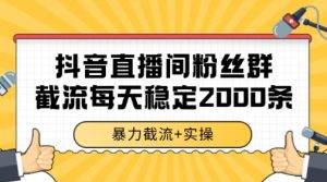 抖音直播间粉丝群暴力截流，一台电脑每天稳定2000条数据【揭秘】-柯南聊项目