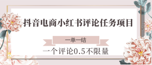 抖音电商小红书评论任务项目，一个评论0.5，一单一结 不限量-柯南聊项目