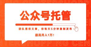 【公众号托管 】我提供文章，你每天５分钟复制发布，最高月入1W-柯南聊项目