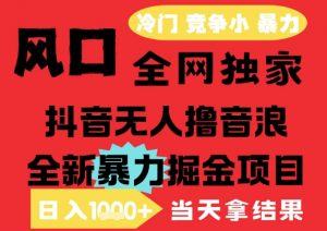 25年6月高爆抖音无人直播最新撸音浪掘金项目，解放双手小白可做，无脑日入1k+，门槛低【揭秘】-柯南聊项目