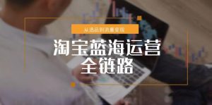 淘宝蓝海运营全链路，从选品到流量变现，小类目突围完整方案-柯南聊项目