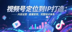 视频号定位到IP打造：账号搭建-内容运营-直播变现，完整知识体系-柯南聊项目