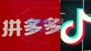 老陶电商·拼多多+抖音小店无货源开店(更新6月)-柯南聊项目