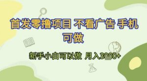 首发零撸项目 不看广告 手机可做 新手小白可以做  月入3k+【揭秘】-柯南聊项目