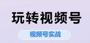 玩转视频号，视频号实战系列课-柯南聊项目
