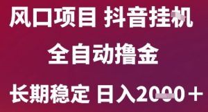 风口项目，六月最新玩法抖音无人挂G，全自动撸金，长期稳定 日入2k+【揭秘】-柯南聊项目