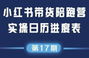盗坤·抖音小红书视频号短视频带货与直播变现(11-17期)-柯南聊项目