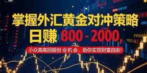 掌握外汇黄金对冲策略，日赚 800 – 2000，小众高回报创业机会，助你实…-柯南聊项目