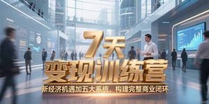 7天咨询师变现训练营，新经济机遇加五大系统，构建完整商业闭环-柯南聊项目